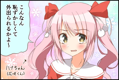 「X'mas衣装」【Xmas'24】